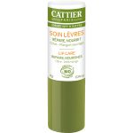 Balsam reparator buze cu unt de mango (4gr)