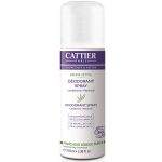 Deodorant bio Brume Active (100ml)